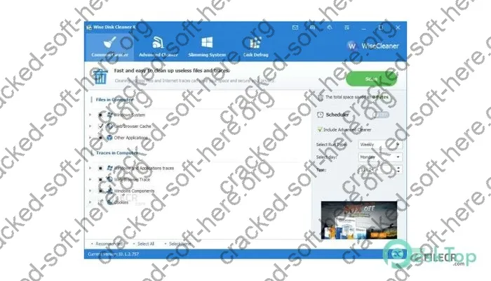 Wise Disk Cleaner Activation key 11.1.1.826 Free Download