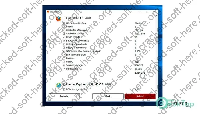 Wipe Professional Crack 2024.05 Free Download