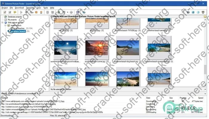 Extreme Picture Finder Crack 3.66.5 Free Download