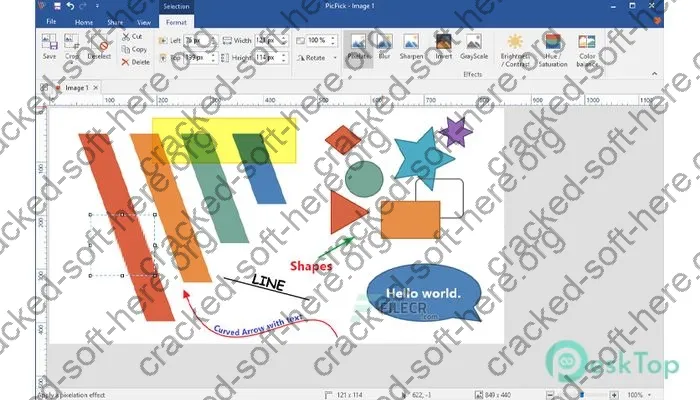 PicPick Professional Crack 7.2.8 Free Download