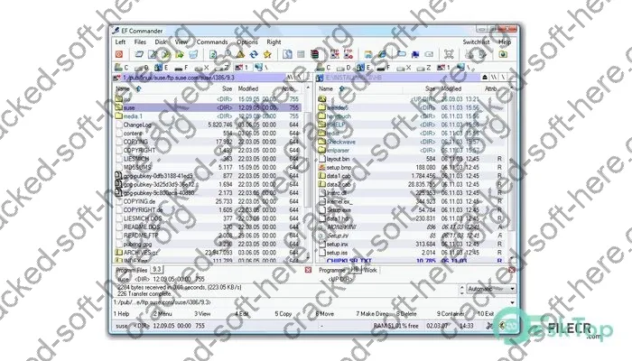 EF Commander Keygen 24.03 Free Download