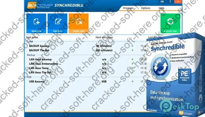 Synchredible Professional Crack 8.204 Free Download