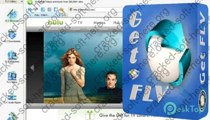 Vdigger GetFLV Crack 31.2405 Free Download