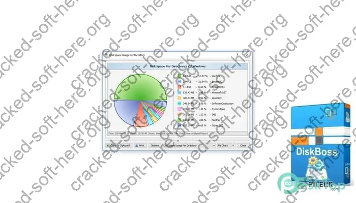 DiskBoss Crack 14.4.16 Free Download