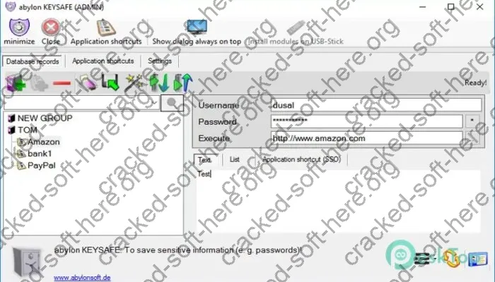 Abylon Keysafe Crack 9.50 Free Download