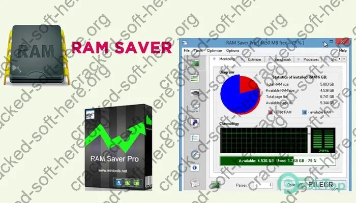 Ram Saver Professional Crack 24.7 Free Download