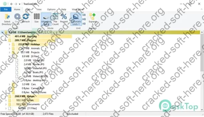 TreeSize Free Keygen 9.1.0.1868 Free Download