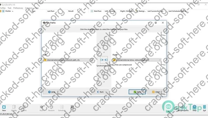 2BrightSparks SyncBackPro Crack 11.3.29 Free Download