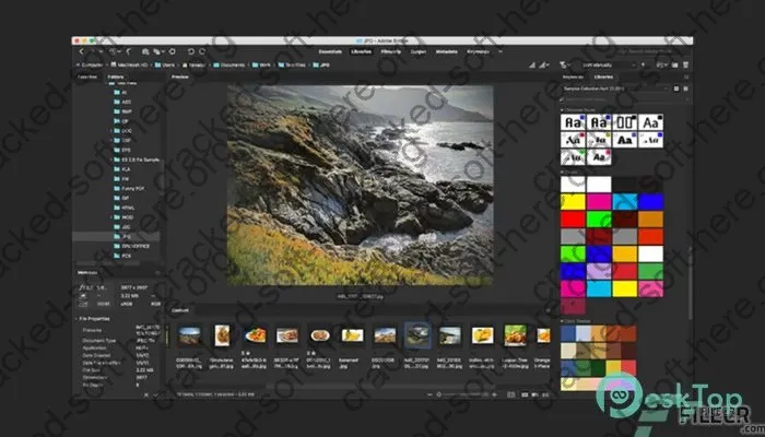 Adobe Bridge 2024 Crack (v14.0.1) Free Full Activated